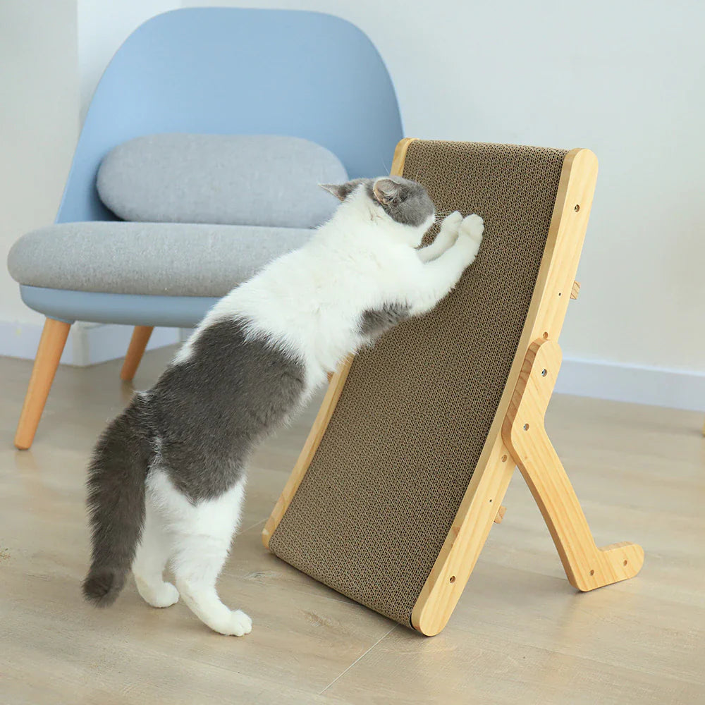 Cat Scratcher Bed