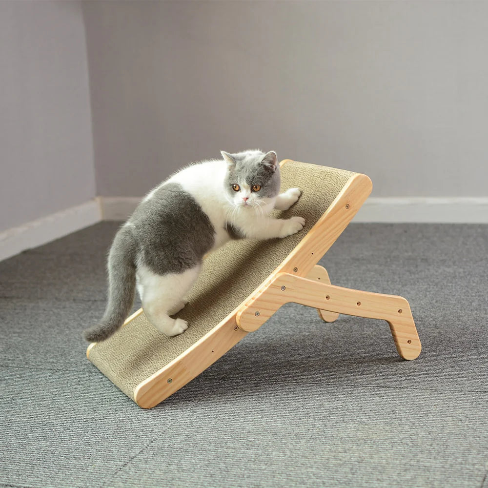 Cat Scratcher Bed