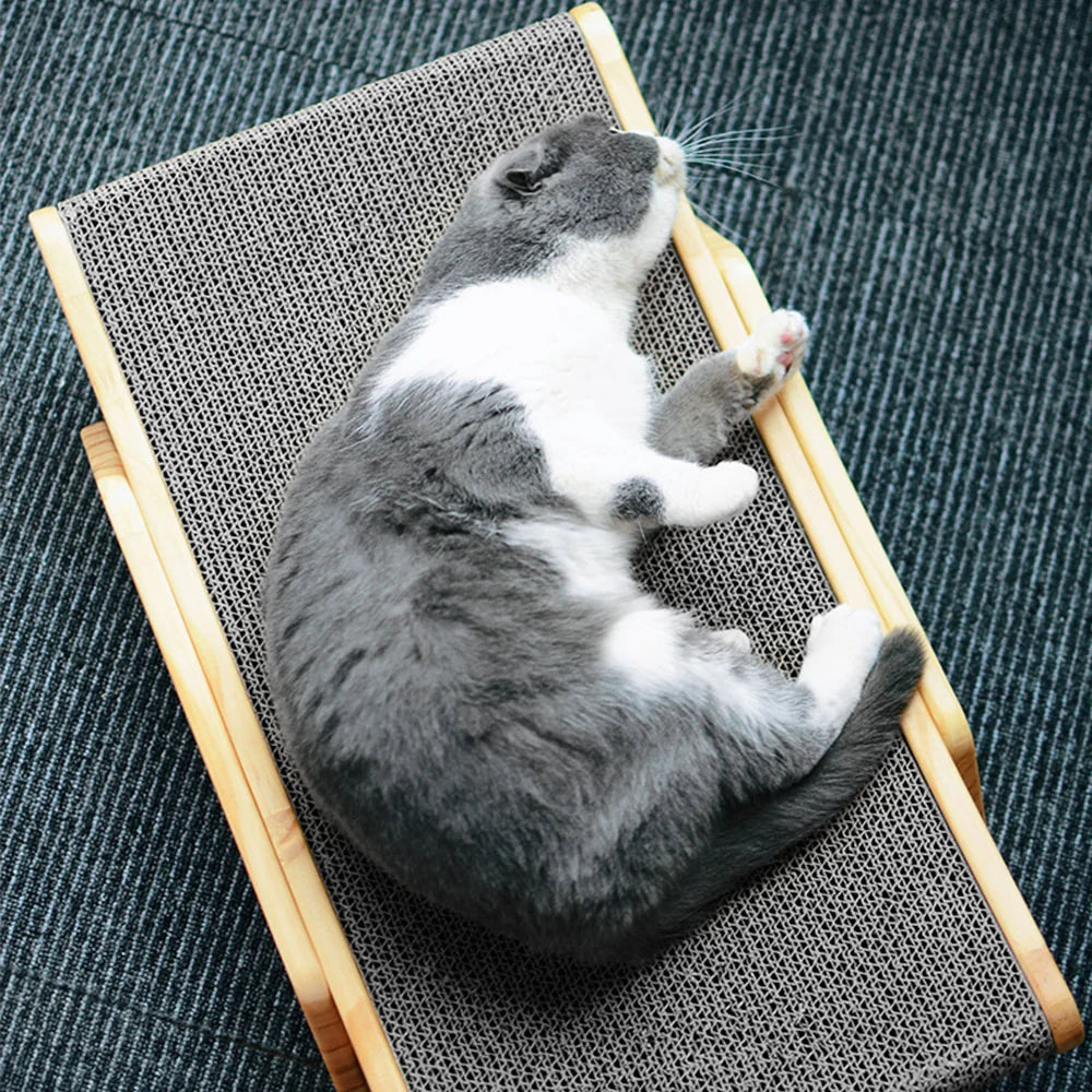 Cat Scratcher Bed