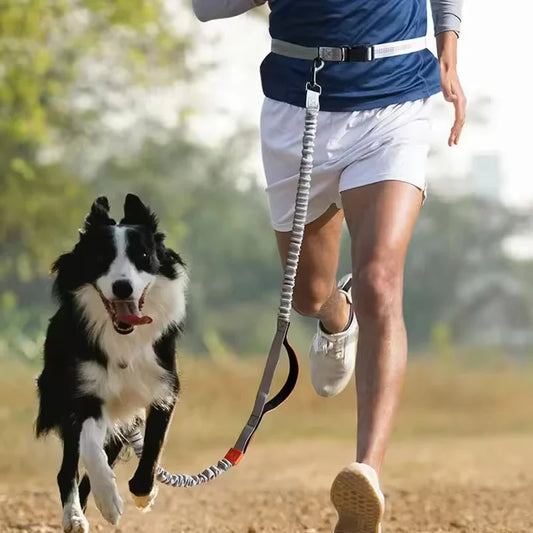 Hands-Free Dog Leash for Running and Walking