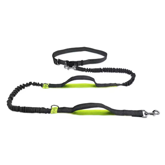 Hands-Free Dog Leash for Running and Walking