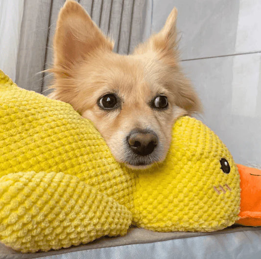 Chew Resistant Duck Toy for Dogs — Dog Toy for Aggressive Chewers